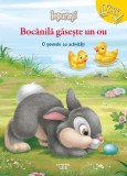 Disney Iepurasi, Bocanila gaseste un ou, Povesti si jocuri
