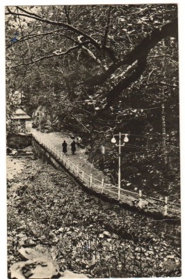 CPIB 16486 CARTE POSTALA - SLANIC MOLDOVA. ALEEA SPRE IZVOARE foto