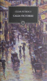 Calea Victoriei - Cezar Petrescu - Roman Beletristica