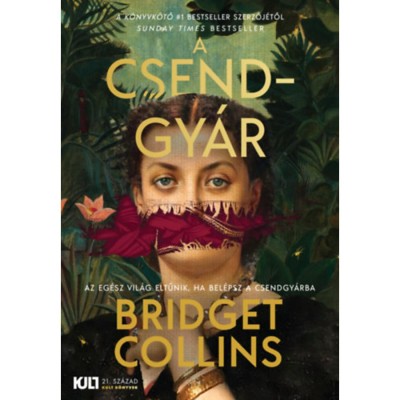 A csendgy&amp;aacute;r - Bridget Collins foto