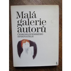 Mal&aacute; galerie autorů Československ&eacute;ho spisovatele IN LIMBA CEHA