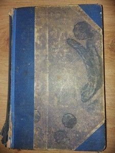 Avocata- G. M. Amza foto