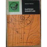 PARTICULE ELEMENTARE-NATALIA FIUCIUC-266308