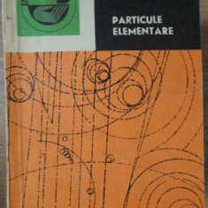 PARTICULE ELEMENTARE-NATALIA FIUCIUC