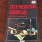 Marian Victor Buciu. Zece prozatori exemplari