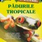 Padurile Tropicale. Infojurnal, Mary Pope Osborne, Will Osborne - Editura Paralela 45