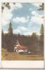 Bnk cp Sinaia - Foisorul - circulata, Printata