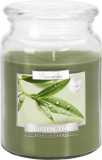 Lumanare parfumata bispol borcan premium line - green tea, Stonemania Bijou