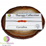 Bratara therapy cornalina tuburi mici si argint 925, Stonemania Bijou