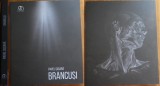 Pavel Susara, Brancusi, Editura Monitorul Oficial, 2023, editia 1 premiata de Ministerul Culturii si Academia Romana