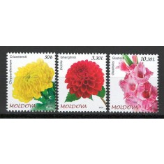 Moldova 2023 Mi 1251/53 MNH - Flora. Flori de gradina