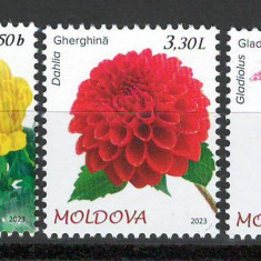 Moldova 2023 Mi 1251/53 MNH - Flora. Flori de gradina