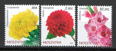 Moldova 2023 Mi 1251/53 MNH - Flora. Flori de gradina foto