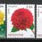 Moldova 2023 Mi 1251/53 MNH - Flora. Flori de gradina