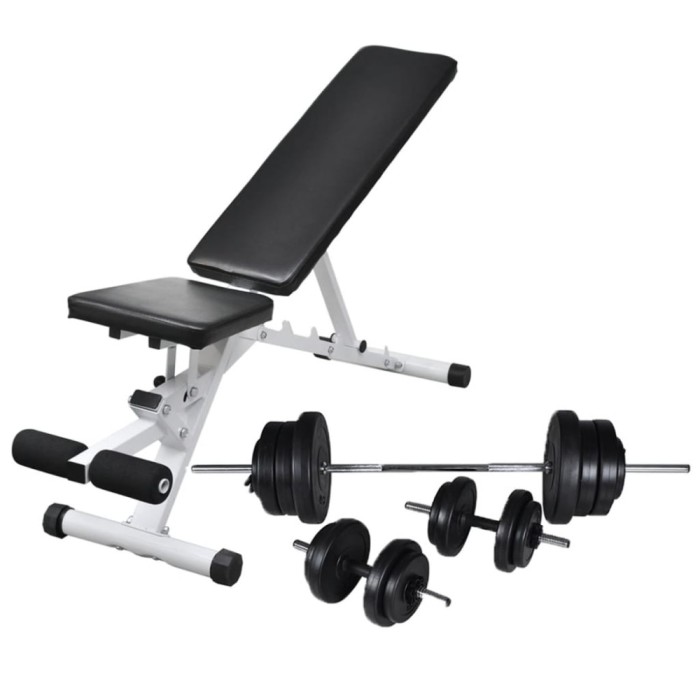 vidaXL Bancă de antrenament cu set de haltere și gantere, 60,5 kg