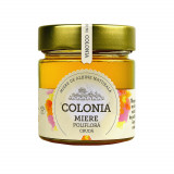 Miere poliflora cruda, 270g, Colonia