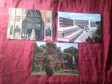3 Ilustrate Buzias circulate 1971 ,1972 , 1981