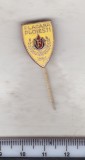 Bnk ins Romania - insigna Flacara Ploiesti 1984, Romania de la 1950