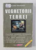 VEGHETORII TERREI de FLORIN GHEORGHITA , ANII &#039;90