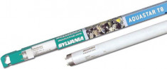 Tub fluorescent Sylvania AQUASTAR 1500mm/58W foto