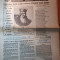 ziarul romania mare 1 iulie 1994 -490 de ani de la moartea lui stefan cel mare