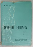 ORTOPEDIE VETERINARA de E. PASTEA , 1958, COPERTA CARTONATA, CU SUPRACOPERTA