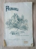 Lt.-colonel Const. Postelnicescu - Prunaru (1931)