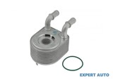 Radiator racire ulei Renault Scenic III (2008-&gt;)[JZ0/1_] #1