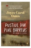 Pustiul din Pine Barrens, Joyce Carol Oates, Roman Carti Beletristica Fictiune, Curtea Veche, Hardcover