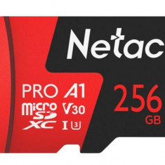 Card de memorie Netac P500 Extreme Pro, MicroSDXC, 256GB, V30/A1/C10, 100 MB/s + Adaptor SD