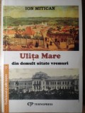 ULITA MARE DIN DEMULT UITATE VREMURI-ION MITICAN-345838
