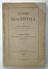 ANATOMIA DESCRIPTIVA de NICOLAE KRETZULESCU , VOLUMUL ANTEIU : OSTEOLOGIA - ARTHROLOGIA , MIOLOGIA , 1878 , COPERTA BROSATA , REFACUTA