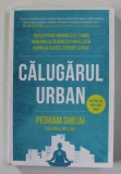 CALUGARUL URBAN de PEDRAM SHOJAI , 2018 * LIPSA MIC FRAGMENT COPERTA SPATE