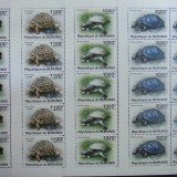 REP.BURUNDI - BROASTE TESTOASE-4 M/SH.10 SERII COMPLECTE-MNH** - RBU 06