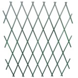 Pergola din Plastic Verde 150x50cm