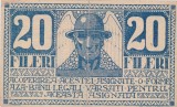 ROMANIA ASIGNATA TIMISOARA 20 FILERI 1919 VF