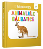 Animalele sălbatice. Bebe cunoaște - Board book - *** - Gama