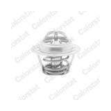 Calorstat by Vernet termostat, lichid racire