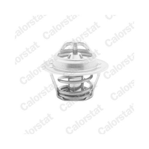 Calorstat by Vernet termostat, lichid racire