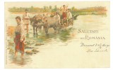 3616 - Country Life, ETHNICS, Litho, Romania - old postcard - used - 1901