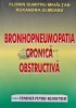 Bronhopneumopatia Cronica Obstructiva - Florin Mihaltan, 1999, Orizonturi, 267 pagini, Brosata, ISBN 973-9342-22-1