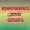 Bronhopneumopatia cronica obstructiva - 1999 - Florin Mihaltan (@E92)