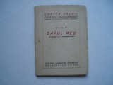 Satul meu - Ion Pillat (1923)