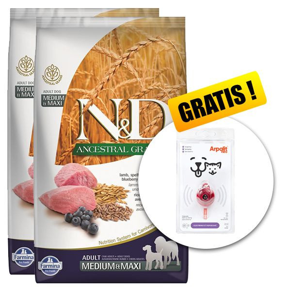 Farmina N&amp;amp;D dog LG ADULT MEDIUM &amp;amp; MAXI Lamb &amp;amp; Blueberry 2 x 12 kg + Arpalit NEO GRATUIT