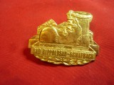 Insigna veche turistica Wurttemberg, metal si email , L=4,5cm