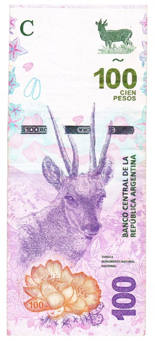Argentina 100 Pesos 2018 P-363a Seria 99490742