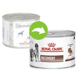 Royal Canin Recovery Dog and Cat, 195 g