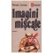 Panek Zoltan - Imagini miscate - 129306