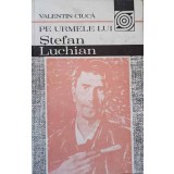 PE URMELE LUI STEFAN LUCHIAN-VALENTIN CIUCA-220640