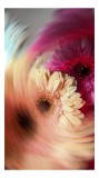 Tablou Canvas floral cu vortice &icirc;n culori vibrante, 26 x 39 cm, CMCLASS